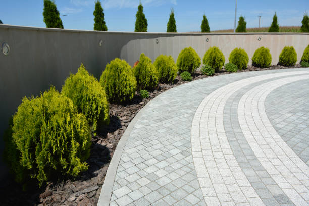 Best Driveway Paver Sealing  in Lakeside, TX
